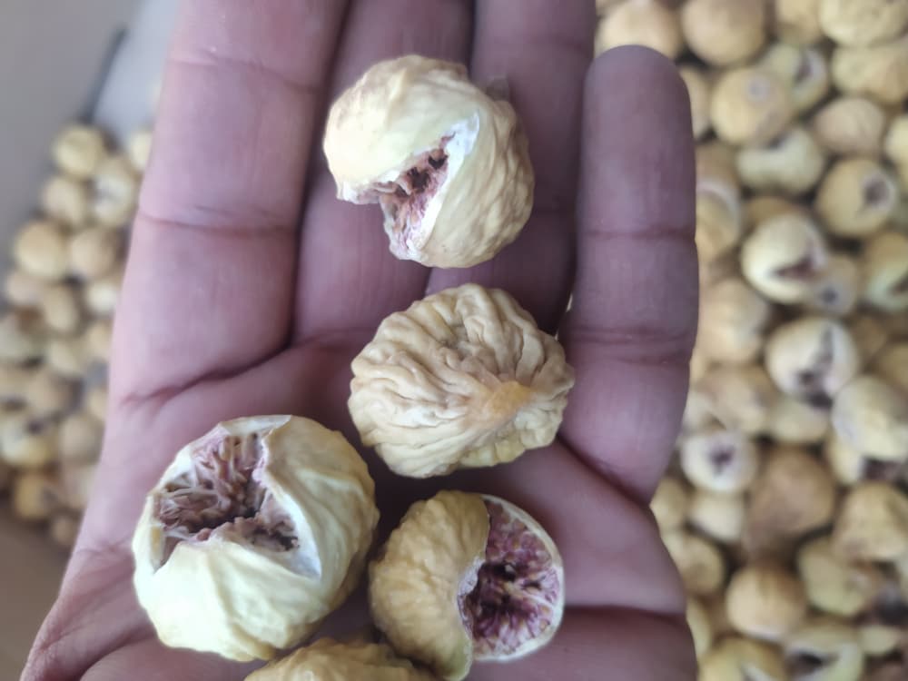 تصویر 1 از فروش انجیر خشک دهان باز سایز سه آ با کیفیت و ارزان